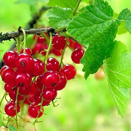 4 Collines فندق مبيت وإفطار Hagnicourt