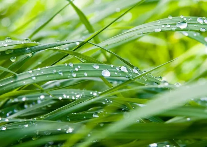 Oda ve Kahvaltı 4 Collines