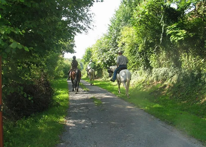 Oda ve Kahvaltı 4 Collines 3*