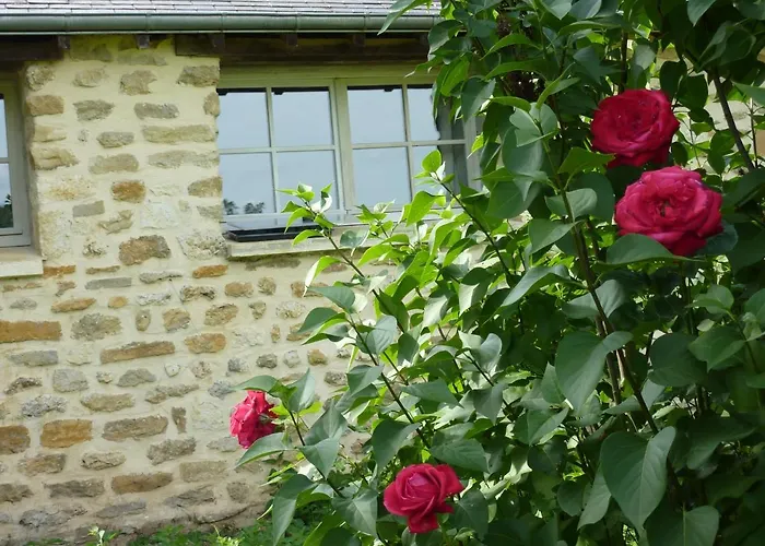 Oda ve Kahvaltı 4 Collines 3*